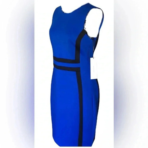 Calvin Klein Color Block Sheath Dress Size 8P - Picture 9 of 10